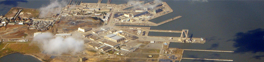 Government Services