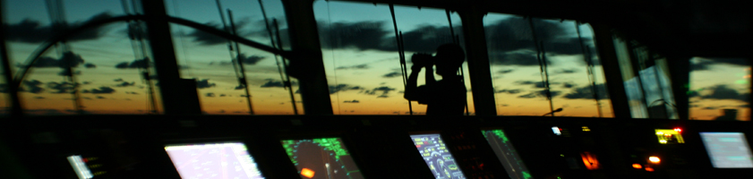 Services - Skilled Marine Electricians