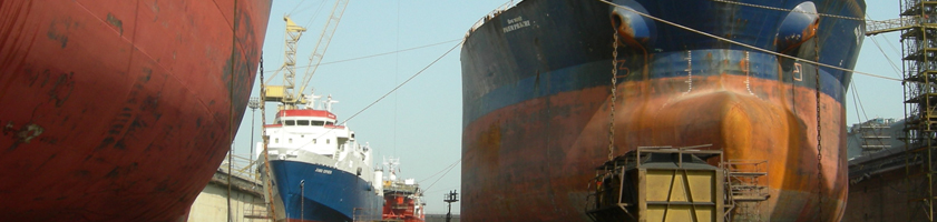 Dockmasters