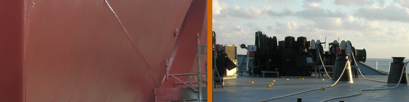 Millma Projects by Type of Service